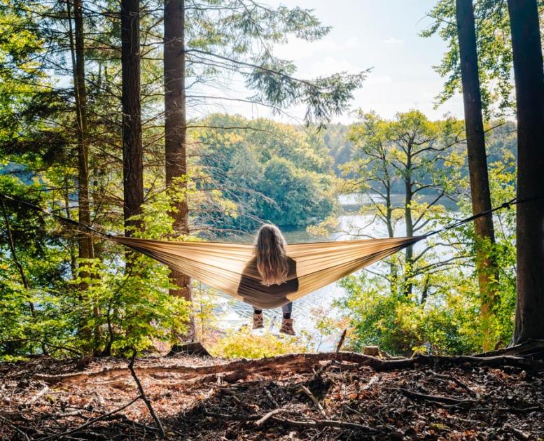 Bakkelandet i Søhøjlandet