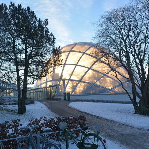 The Greenhouses in winter