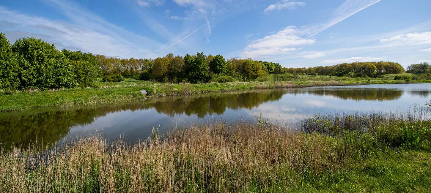 True Skov lake in Aarhus