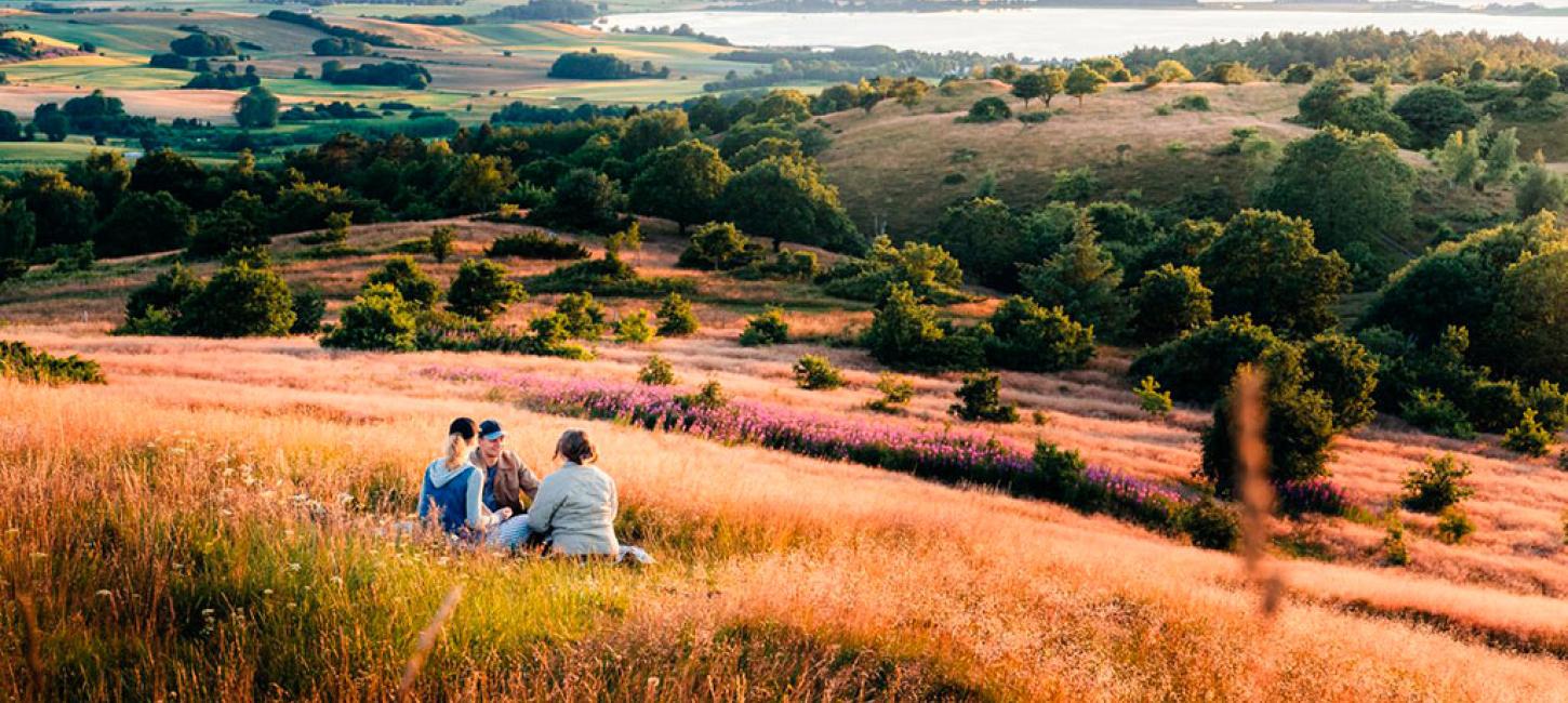 Venner hygger sig i Mols Bjerge på Djursland