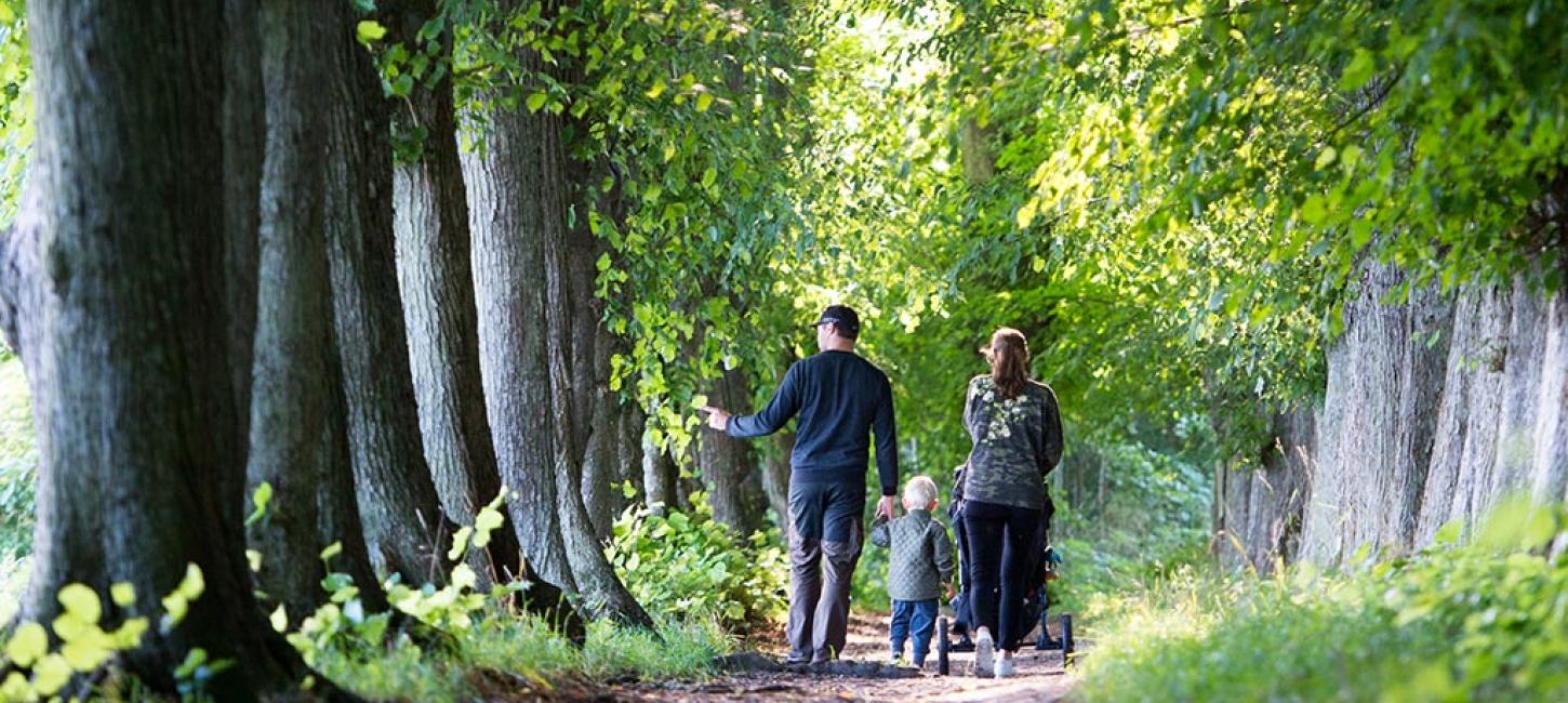 Familietur i skoven i Viborg