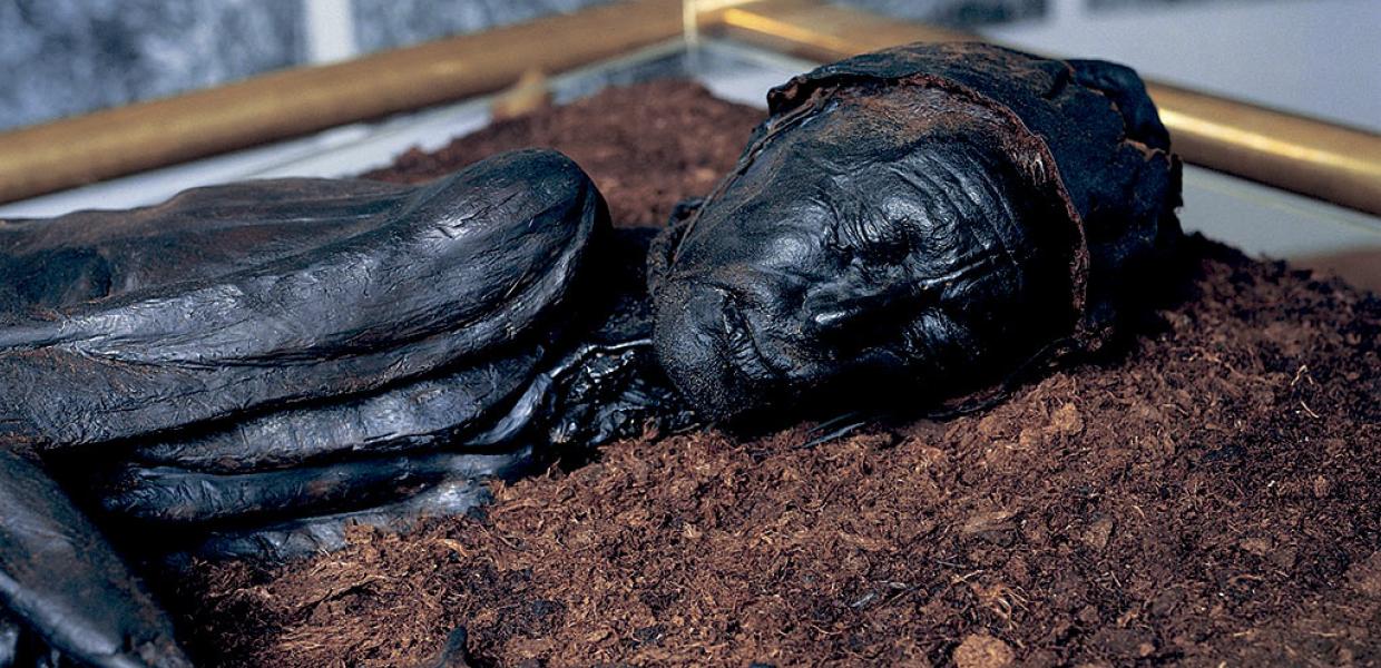 Tollundmanden på Museum Silkeborg, Hovedgården