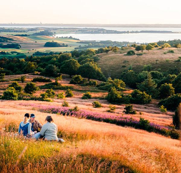 Venner hygger sig i Mols Bjerge på Djursland