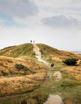 Trehøje i Mols Bjerge på Djursland